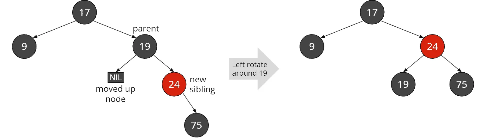 Red-black tree deletion: Black sibling with at least one red child and black “outer nephew”: Rotation around the parent
